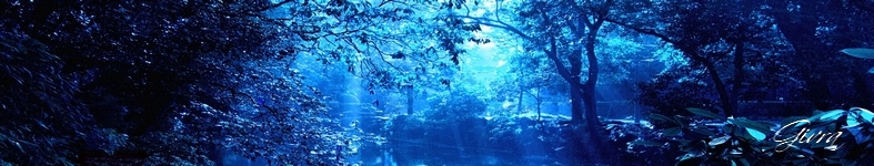 Banner profilu