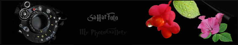 Banner profilu