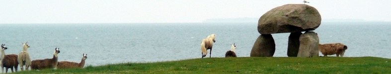 Banner profilu