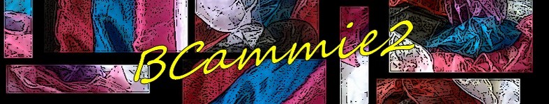 Banner profilu