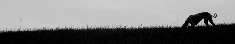Banner profilu