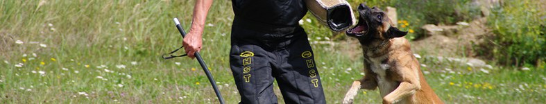 Banner profilu