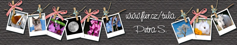 Banner profilu
