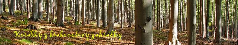 Banner profilu