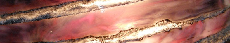 Banner profilu