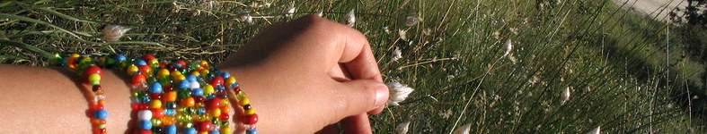 Banner profilu