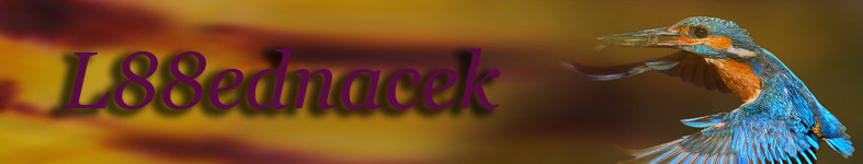 Banner profilu