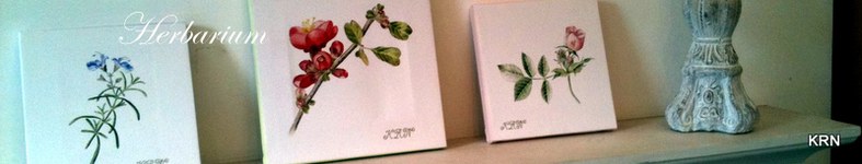 Banner profilu