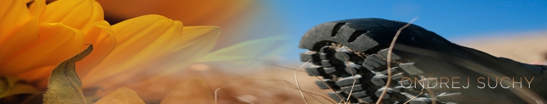 Banner profilu