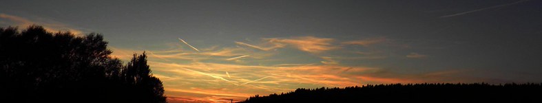 Banner profilu