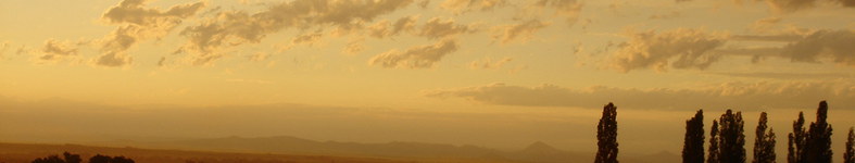 Banner profilu