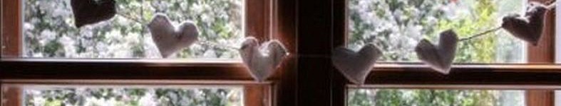 Banner profilu