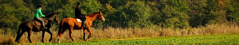 Banner profilu