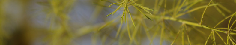 Banner profilu