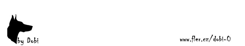Banner profilu