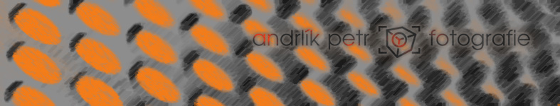 Banner profilu