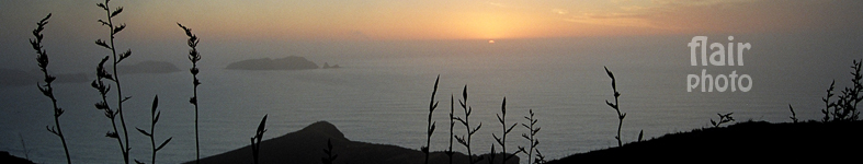 Banner profilu