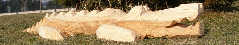 Banner profilu