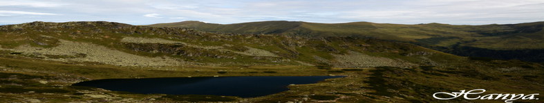 Banner profilu