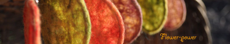Banner profilu