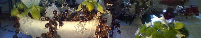 Banner profilu