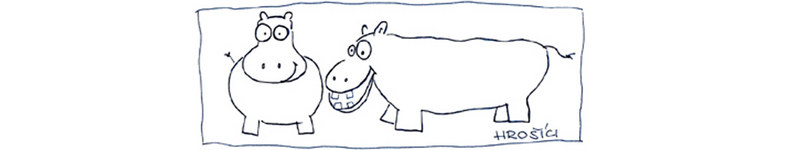 Banner profilu
