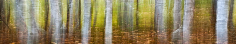 Banner profilu