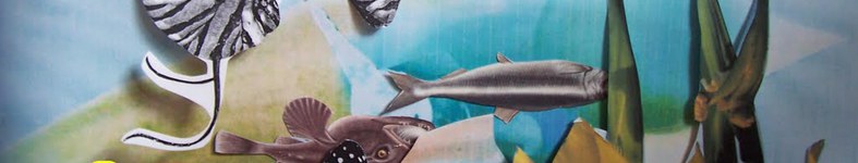 Banner profilu