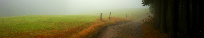 Banner profilu