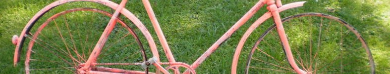 Banner profilu