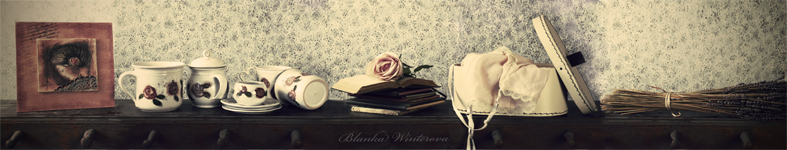 Banner profilu