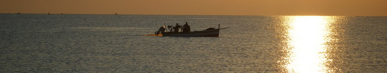 Banner profilu