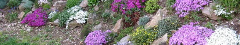 Banner profilu