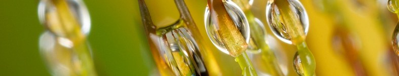 Banner profilu