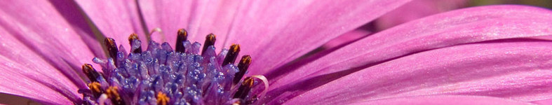 Banner profilu