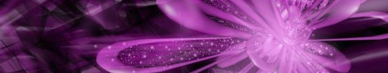 Banner profilu