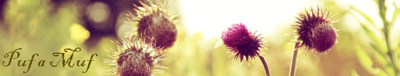 Banner profilu