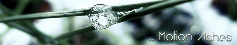 Banner profilu