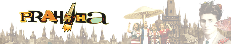 Banner profilu