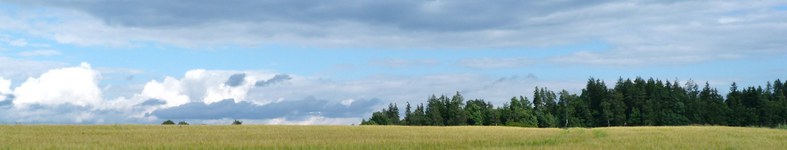 Banner profilu