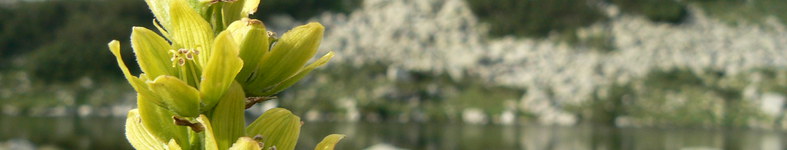 Banner profilu