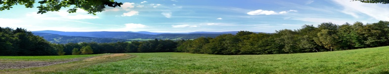 Banner profilu