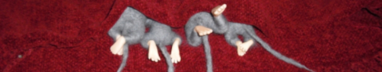 Banner profilu