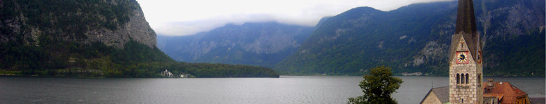 Banner profilu