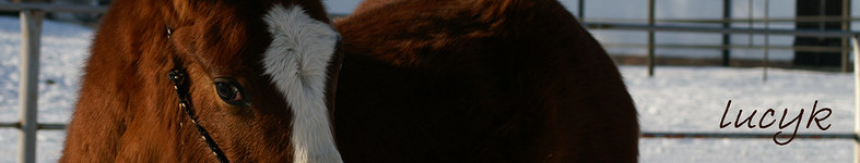 Banner profilu