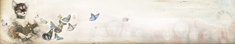 Banner profilu