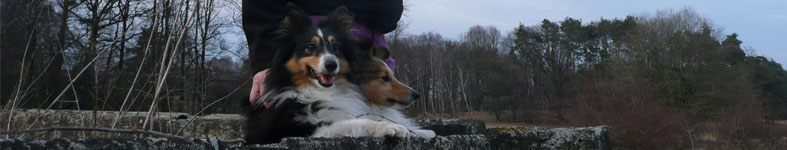 Banner profilu