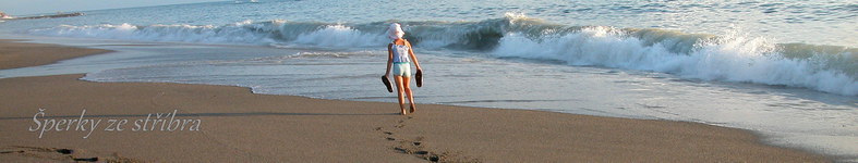 Banner profilu