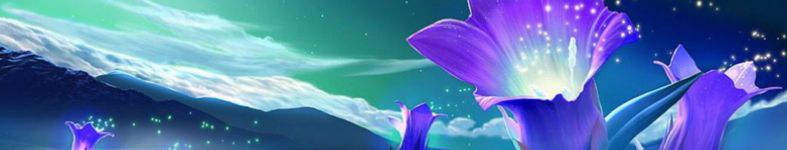 Banner profilu