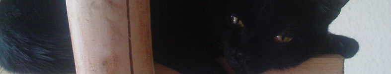 Banner profilu